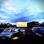 Wellfleet Drive-In