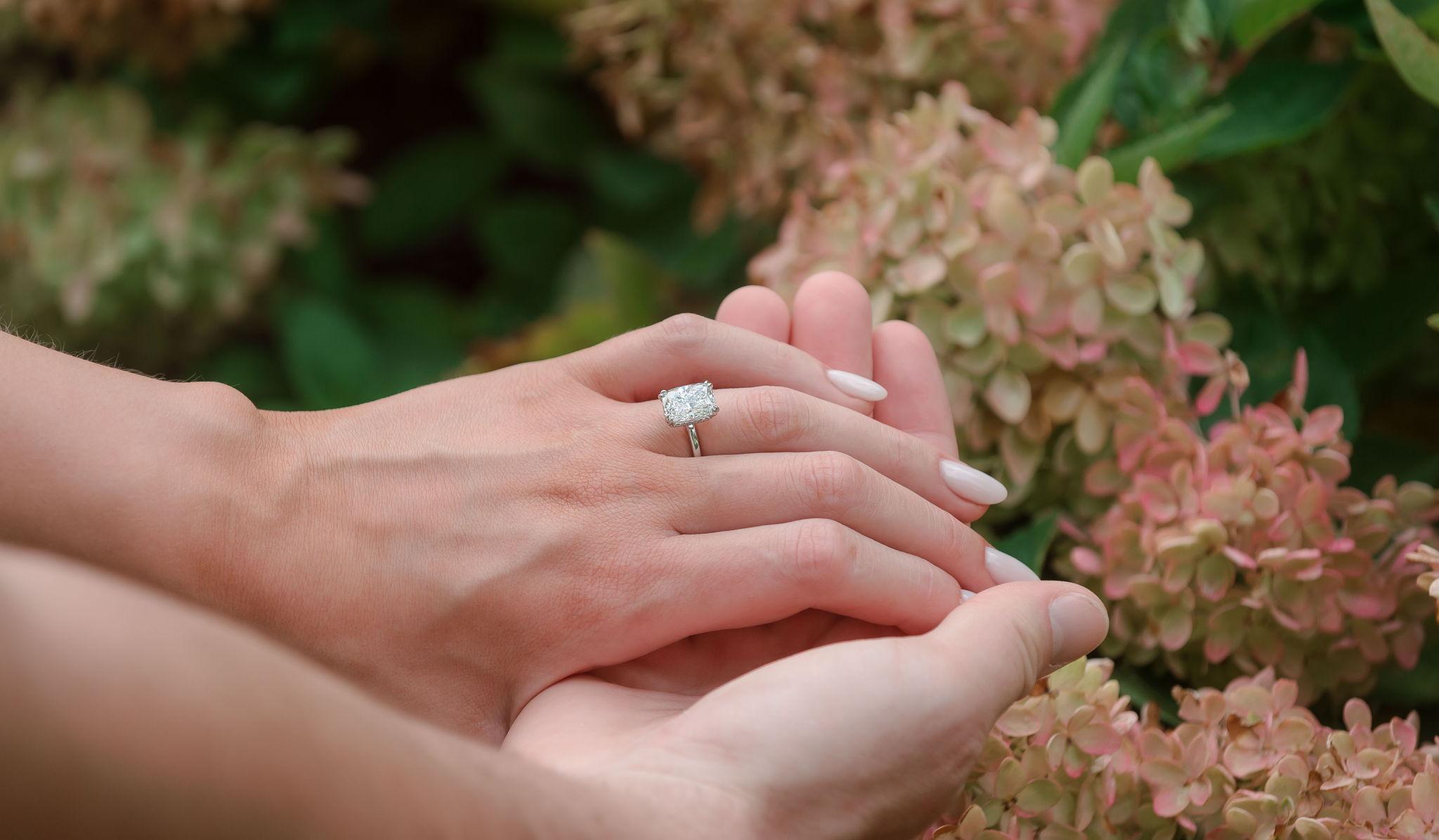 Hero Slideshow Image 3