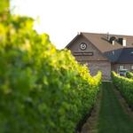 Newport Vineyards & Restaurant