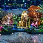 Bellagio Conservatory & Botanical Gardens
