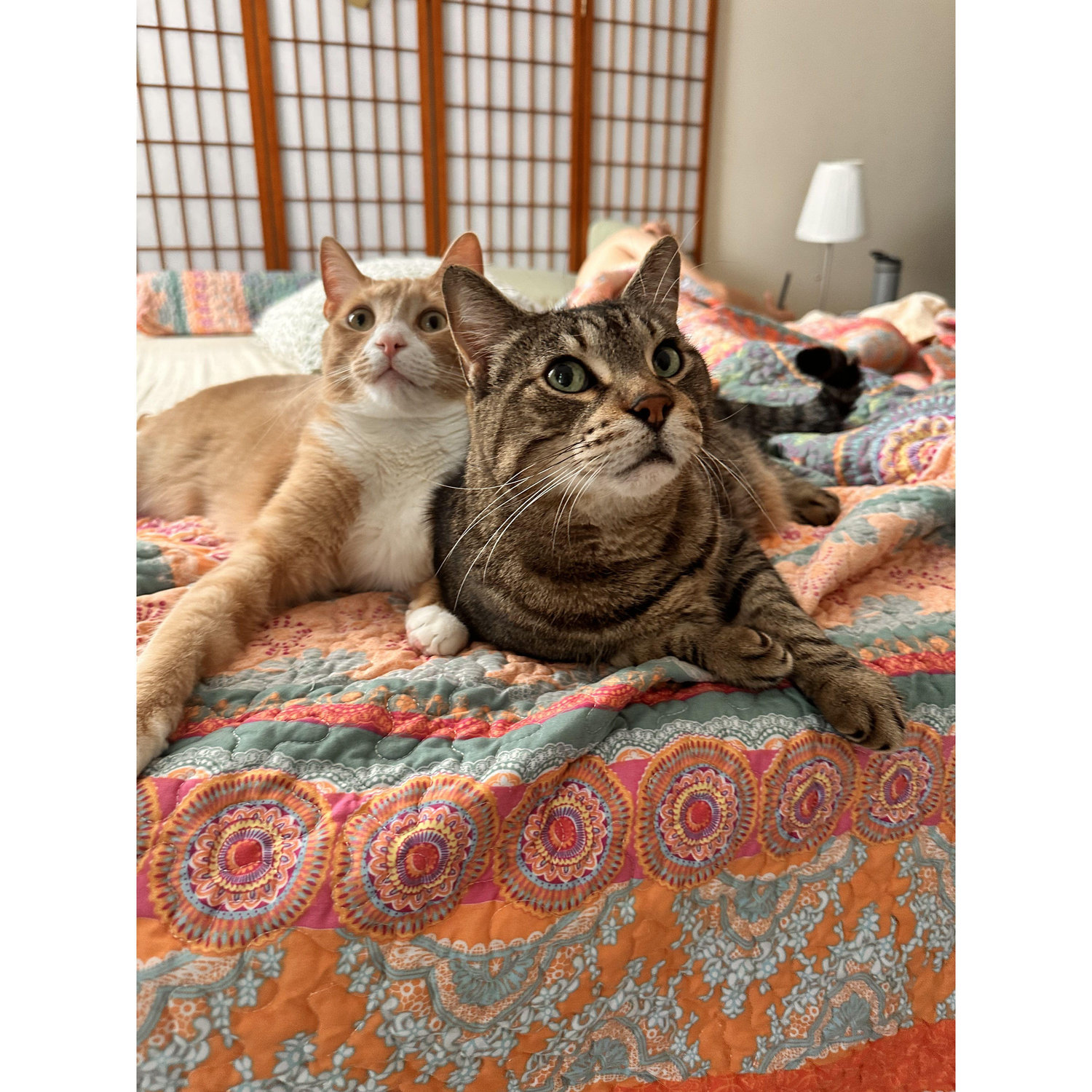 The Boys
