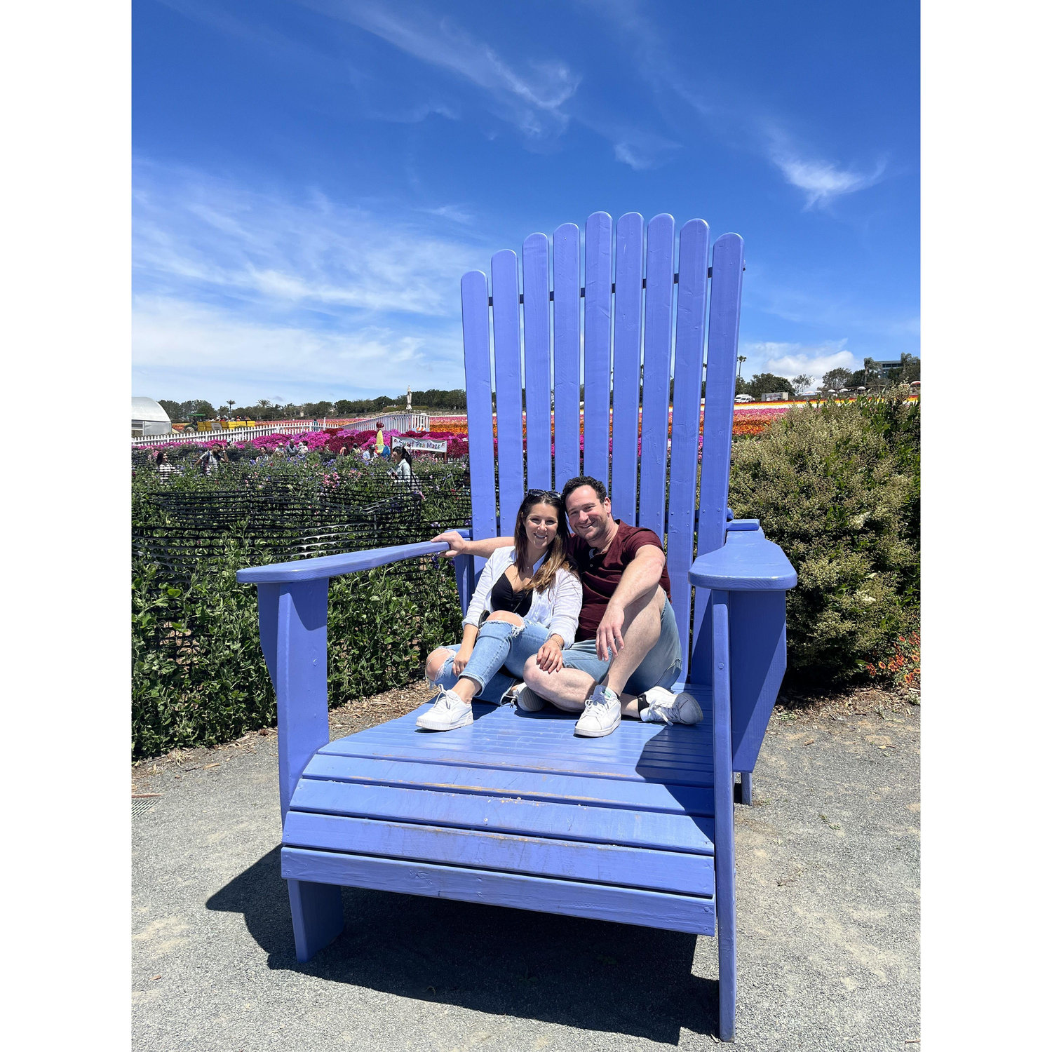 Flower Fields in Carlsbad