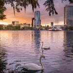 Take a walk around - Lake Eola Park