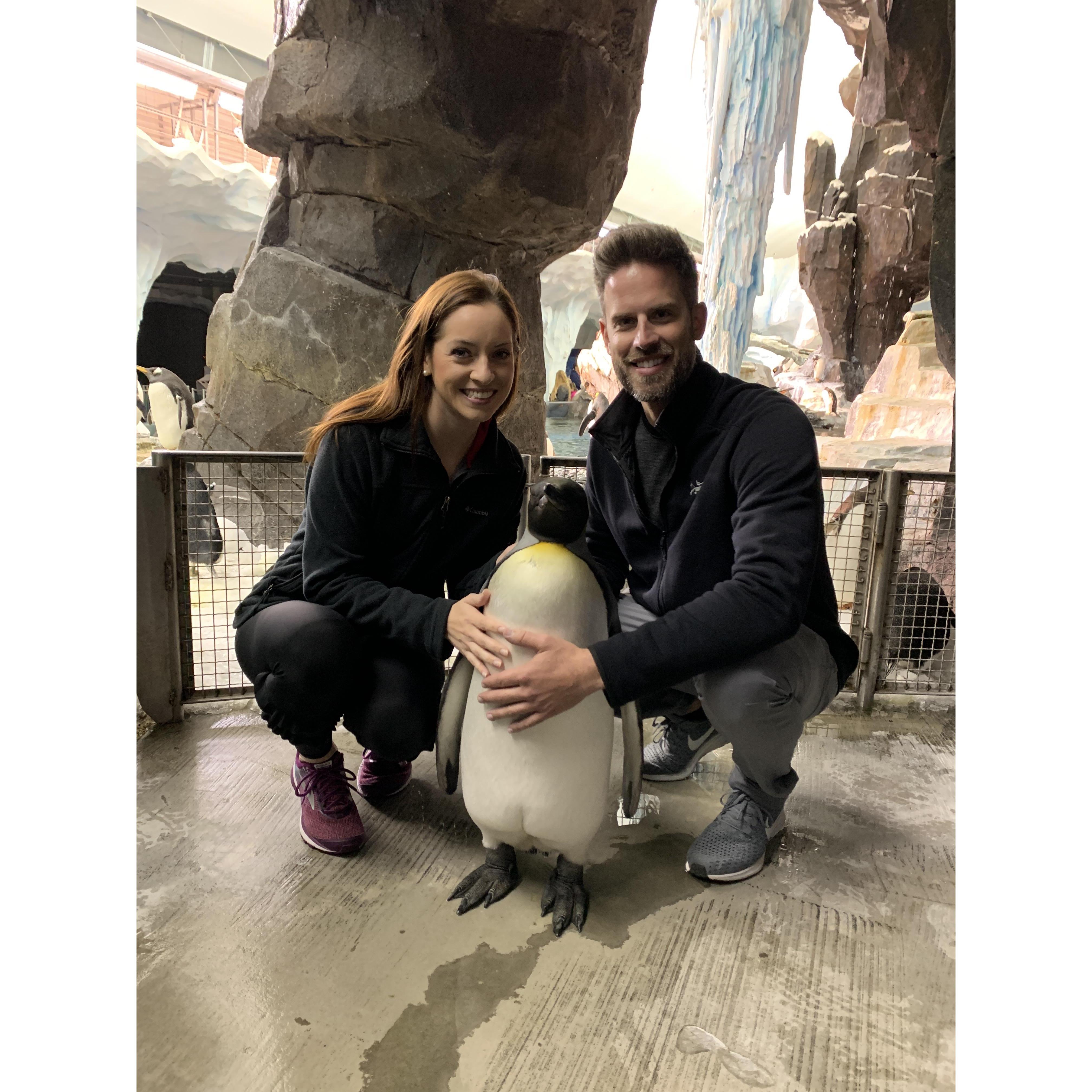 When Mikaela took Rick to pet penguins for his birthday.