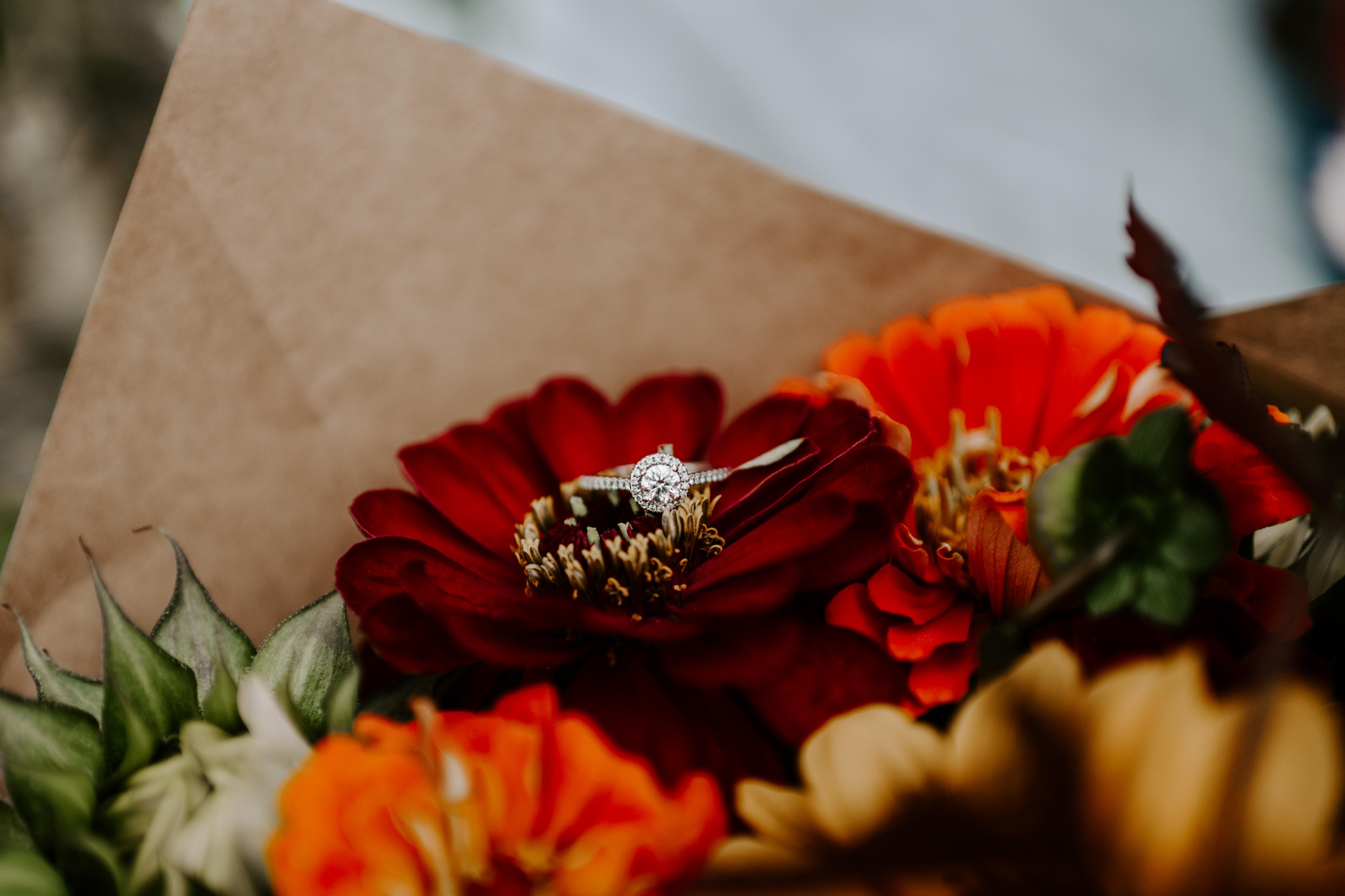 The Wedding Website of Erin Thompson and Steve Tartaglia