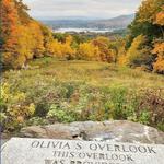 Olivia's Overlook
