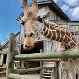 ZooWorld Zoological Park