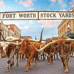 Fort Worth Stockyards