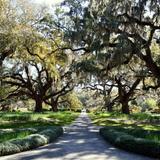 Brookgreen Gardens