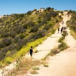 Runyon Canyon Park