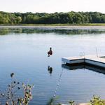 Swim @ Camp