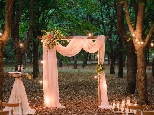 The Wedding Website of Tanisha Williams and Thomas Sanders