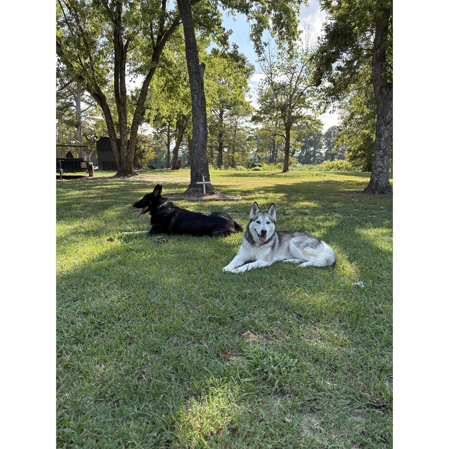 Zara and Meeka