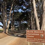 Cypress Tree Tunnel