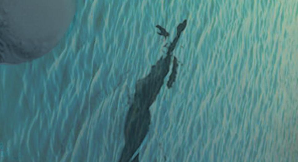 Footer image