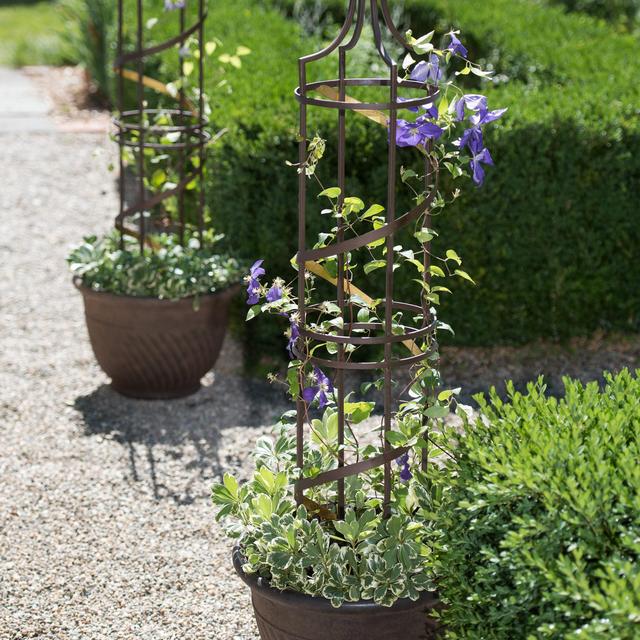 Nocturne Pot Obelisk