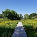 Humboldt (Alexander Von) Park