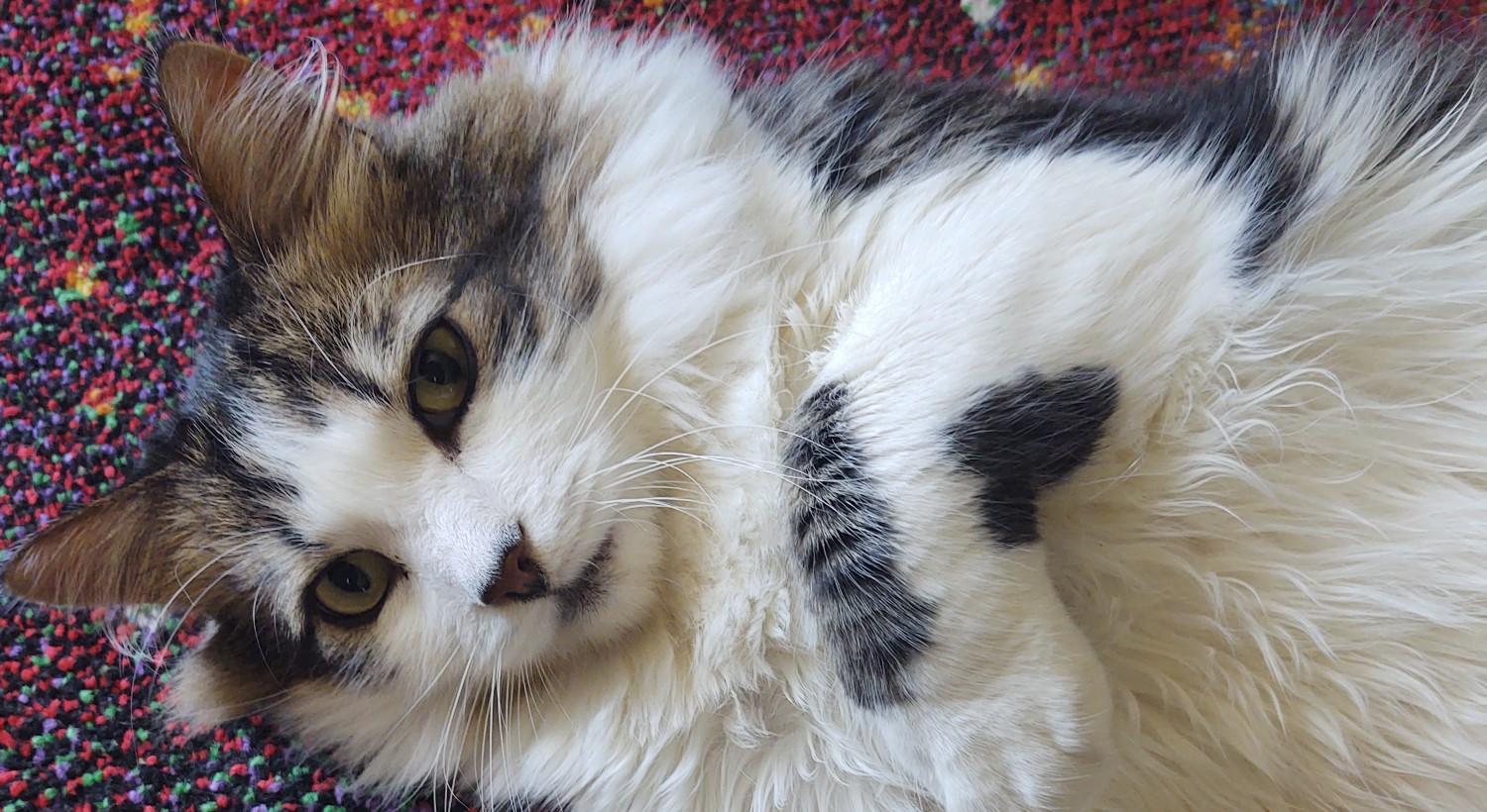 The Wedding Website of Emily Goode and Justin Mausner