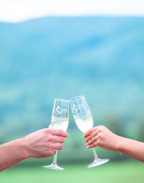 The Wedding Website of Jordan Mills and Michael Felts