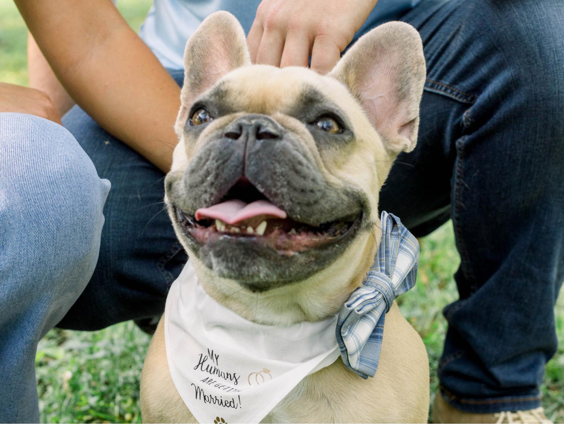 The Wedding Website of Kristen Goetter and Shayne Kofron