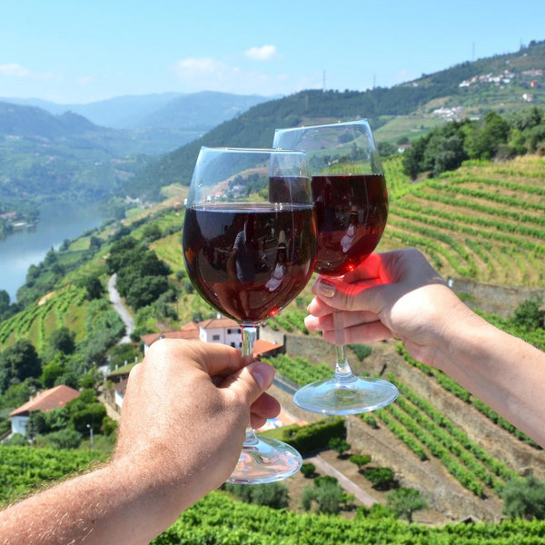 Private Wine Tour in Douro Valley