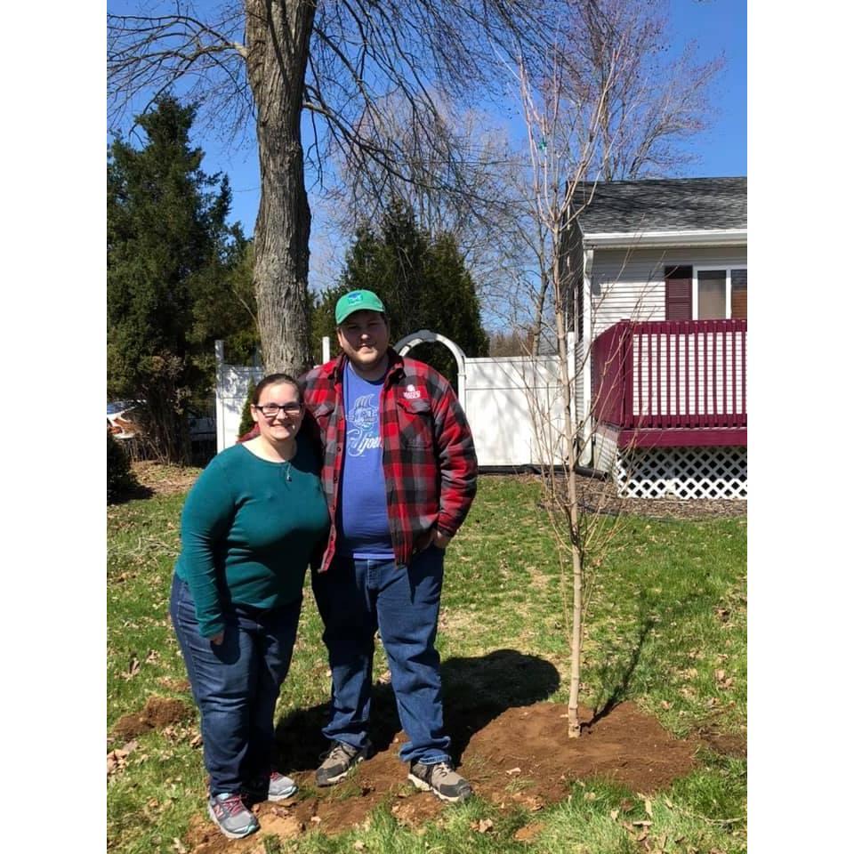 Planting a dogwood tree at our house