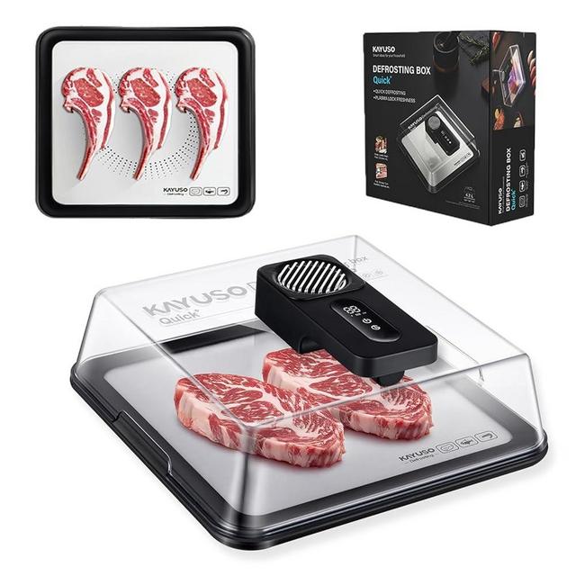 KAYUSO Quick Defrosting Tray for Frozen Meat - Rechargeable Meat Defrosting Tray with Lid, Timable Thawing Box for Frozen Food, Suitable for Frozen Steak, Chicken, Fish, Shrimp and Seafood (Black)