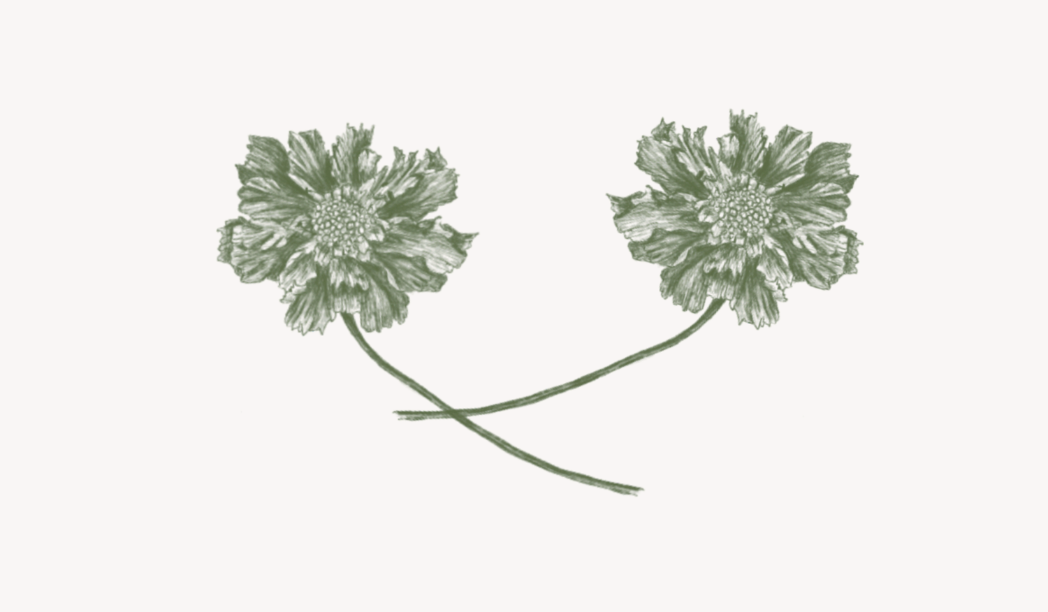 Footer image