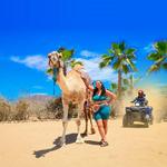 ATV, Camel Ride, Mexican Lunch, and Tequila Combo Tour
