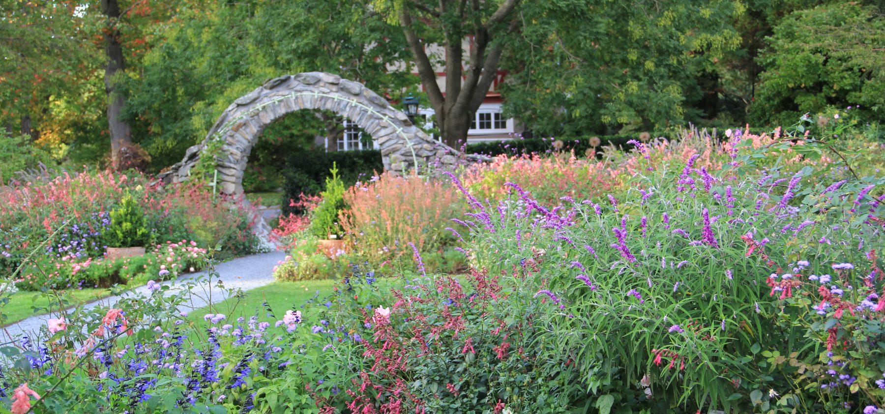 The Wedding Website of Lauren Tait and David Spivack