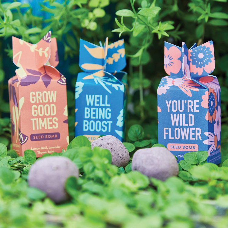Modern Sprout, Seed Bomb Wedding Favor, Set of 6 | Zola