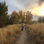 Military Reserve Trails