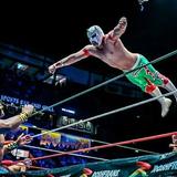 Lucha Libre