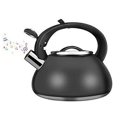 Kinovation Whistling Stainless Steel Tea Kettle, Food Grade 2.66 Quart Tea Pot with Heat-Proof Handle - Stovetop Suitable for All Heat Sources