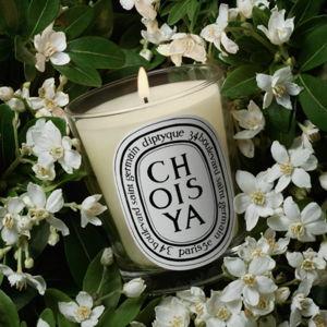 Choisya (Orange Blossom) - Classic Candle | Diptyque Paris