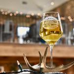 Potter's Craft Cider Garden- Downtown Tasting Room