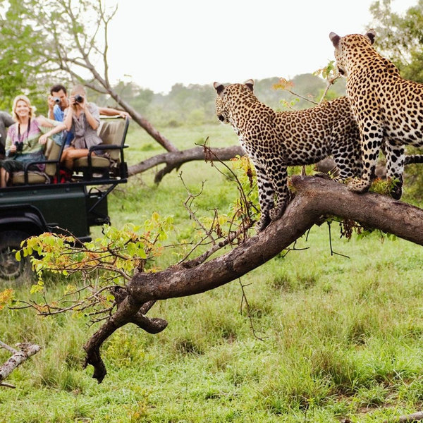 South Africa Honeymoon