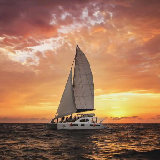 Sunset Catamaran Cruise in Cannes