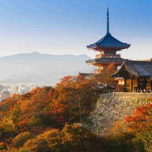 China + Japan Honeymoon Fund