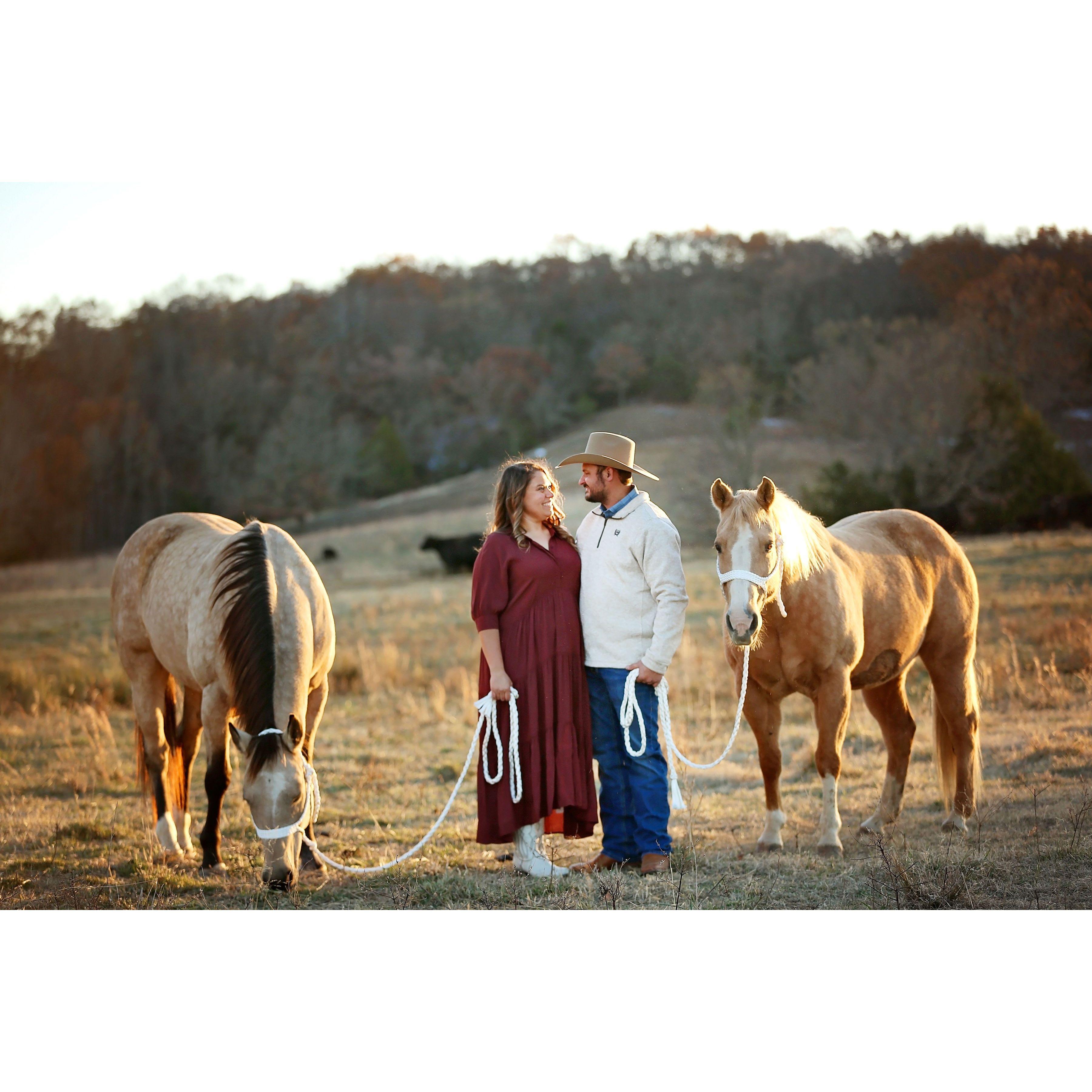 Morgan's father in law gave Kara these two mares. They are are great and Corey has laid claim to Beck, the palomino.