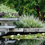 Olbrich Botanical Gardens