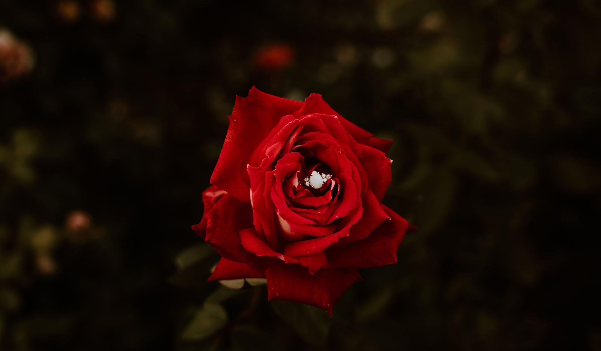 Hero Slideshow Image 3