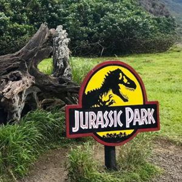 Jurassic Park Tour at Kualoa Ranch