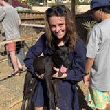Cerritos Beach Dogs Café