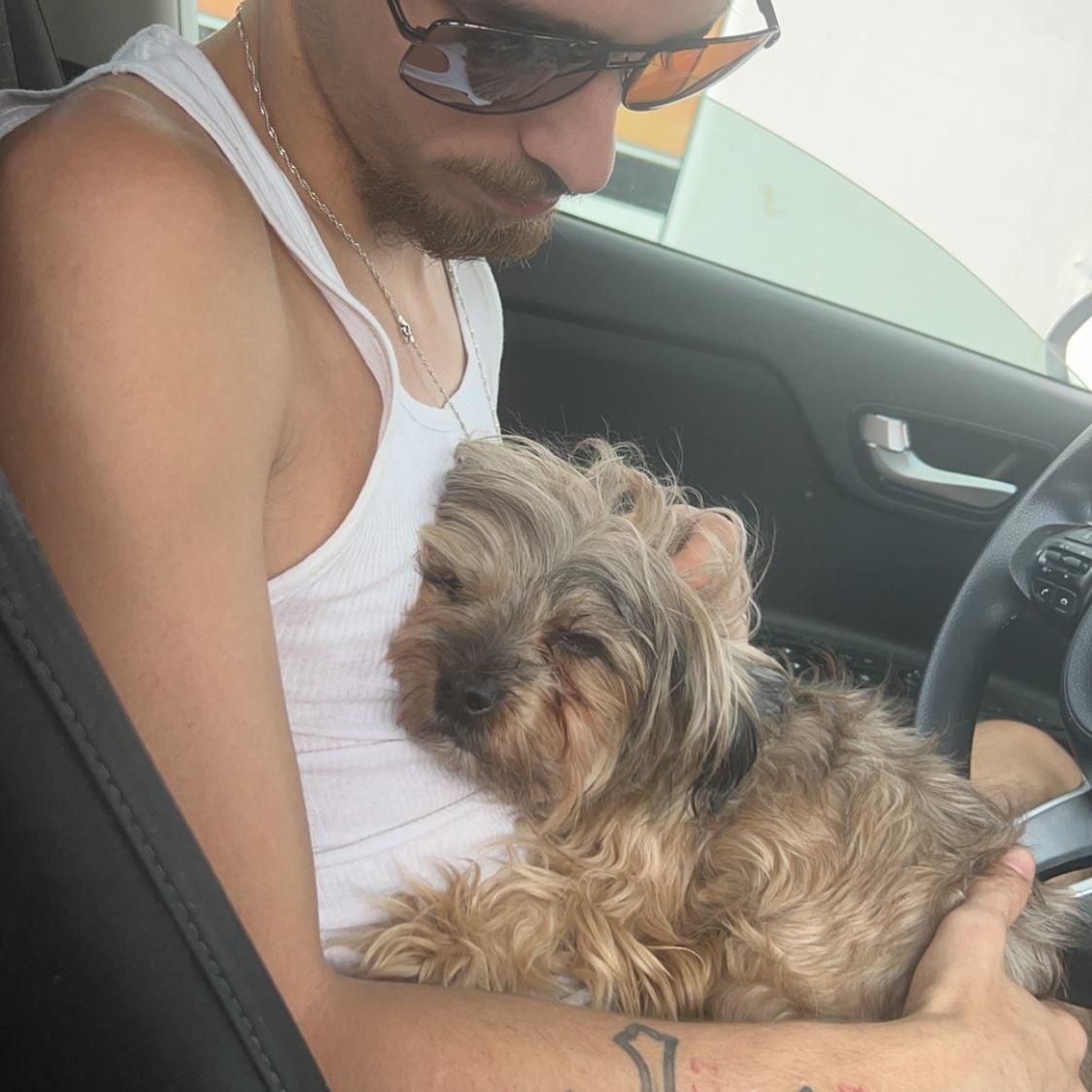 Roxie and Daddy boding. Mike loves it when Roxie just cuddles up to him. He may act tough sometimes but he sure has a super soft spot for this one. Daddy’s girl