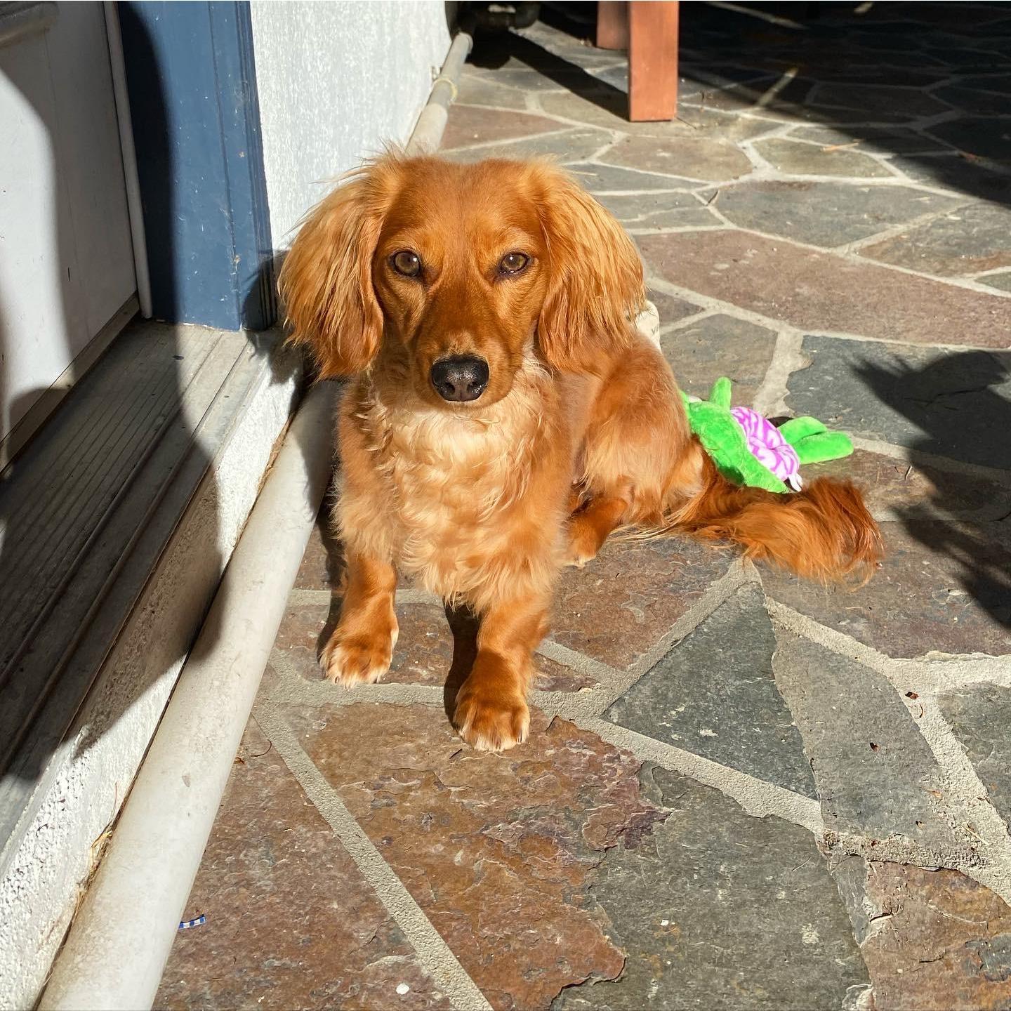 Olive!!