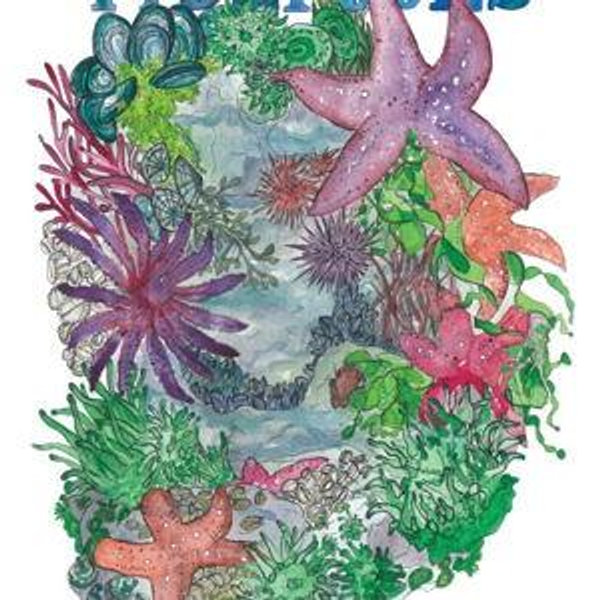 Pacific Northwest Tidepool Watercolor Art Print