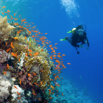 Puerto Vallarta Tours