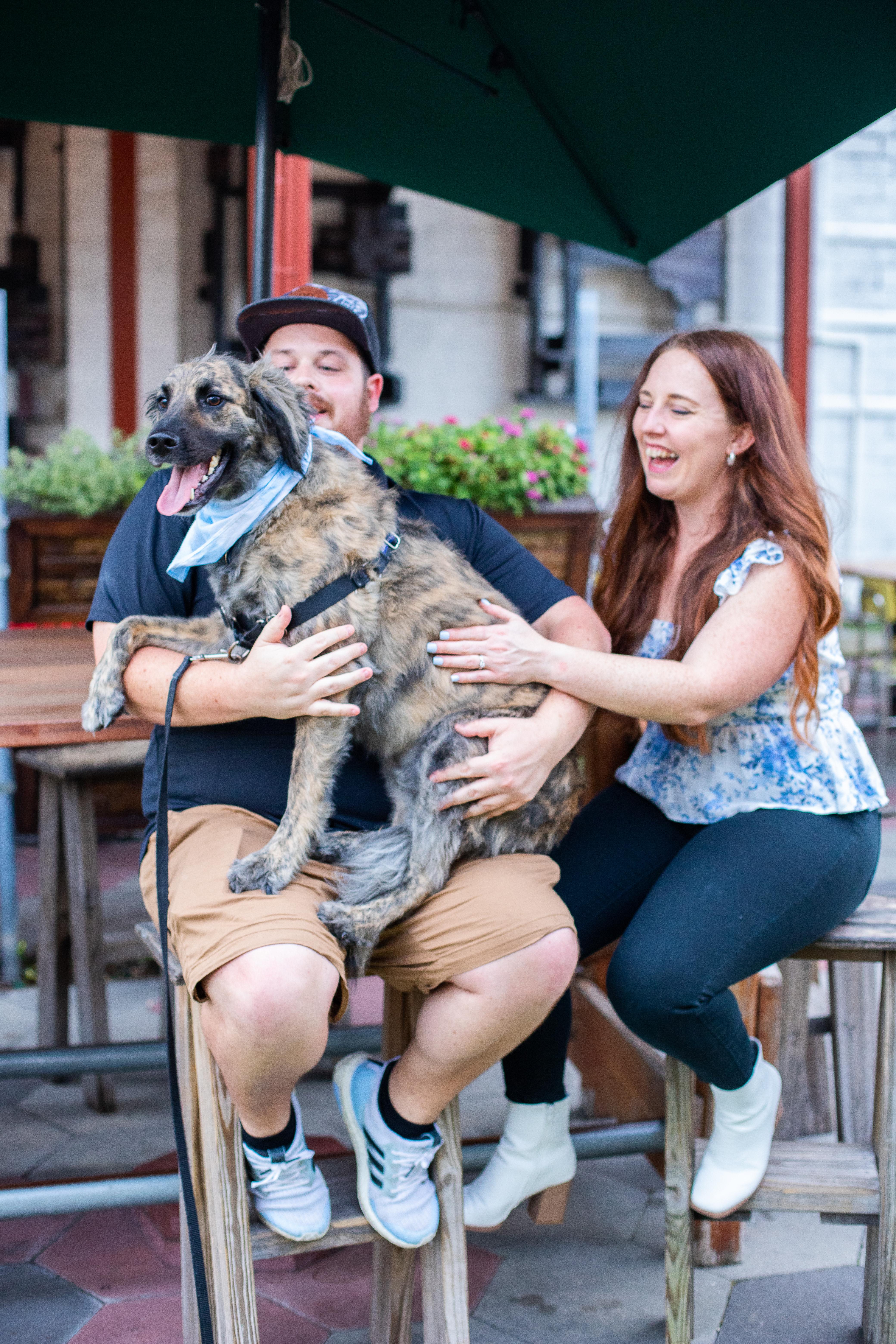 The Wedding Website of Amber Gross and Shane Mabee