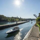Ballard Locks Fish Ladder